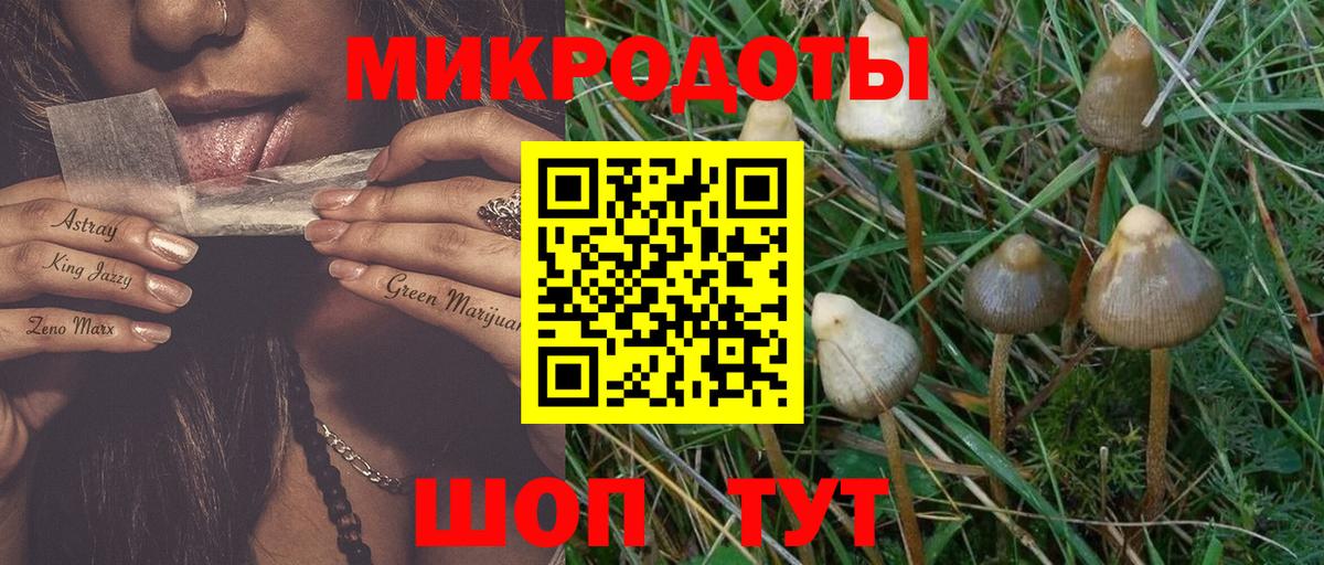 Псилоцибиновые грибы мицелий  Вход с VPN  Чусовой  Псилоцибиновые грибы GOLDEN TEACHER 