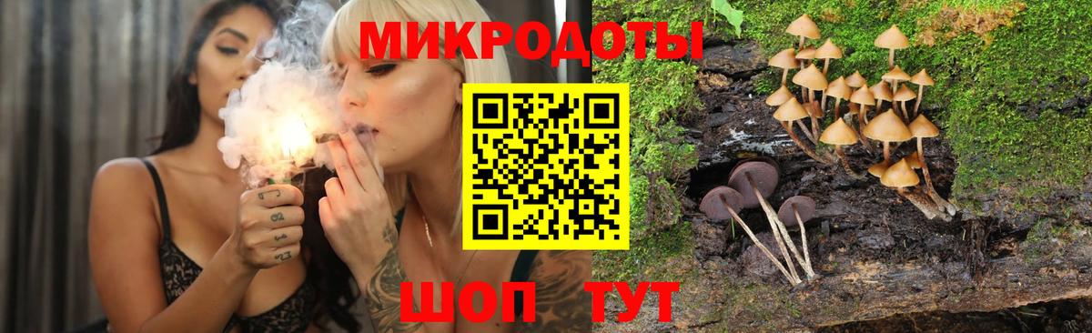 Галлюциногенные грибы ЛСД Чусовой